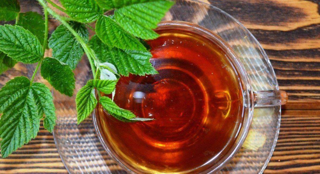 Чай с малиной при температуре: польза и рецепты