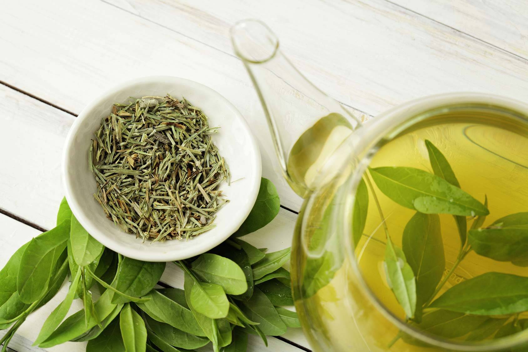 Лекарственные растения зеленый чай