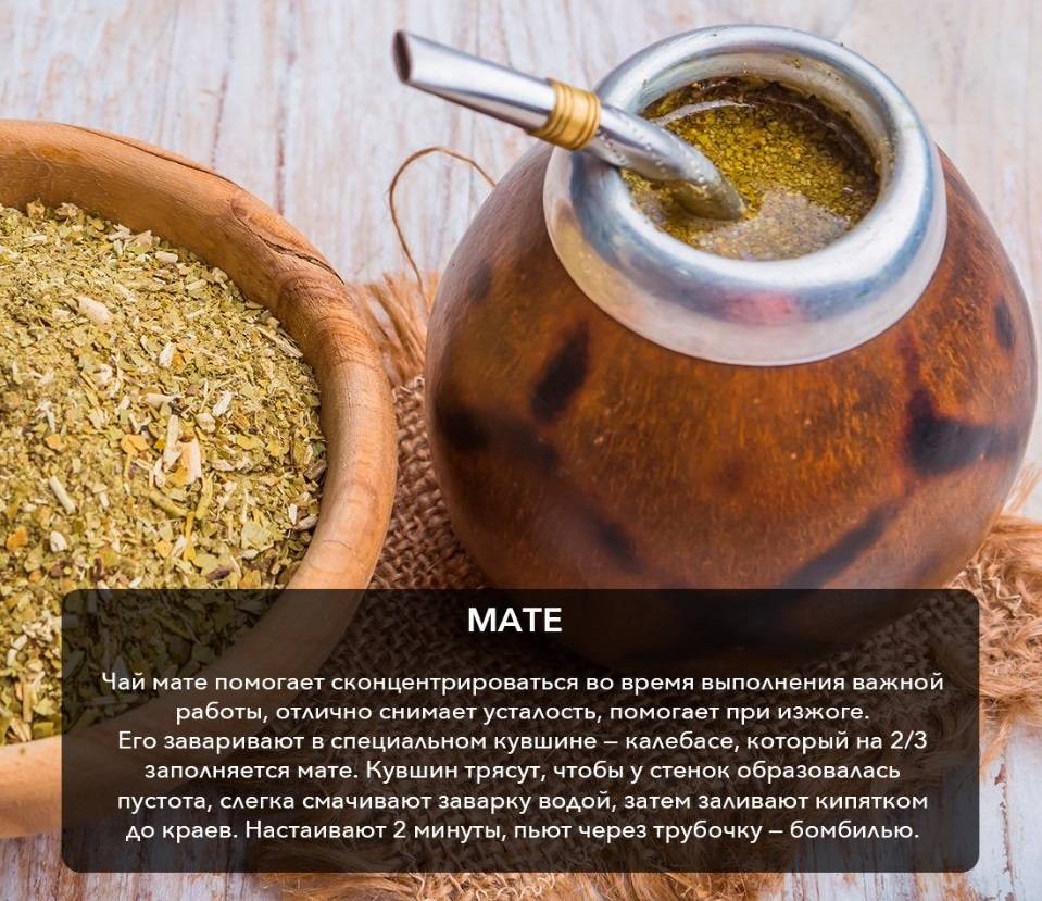 Чай мате - секрет здоровья. польза и вред. как заваривать. полезные свойства и противопоказания. состав