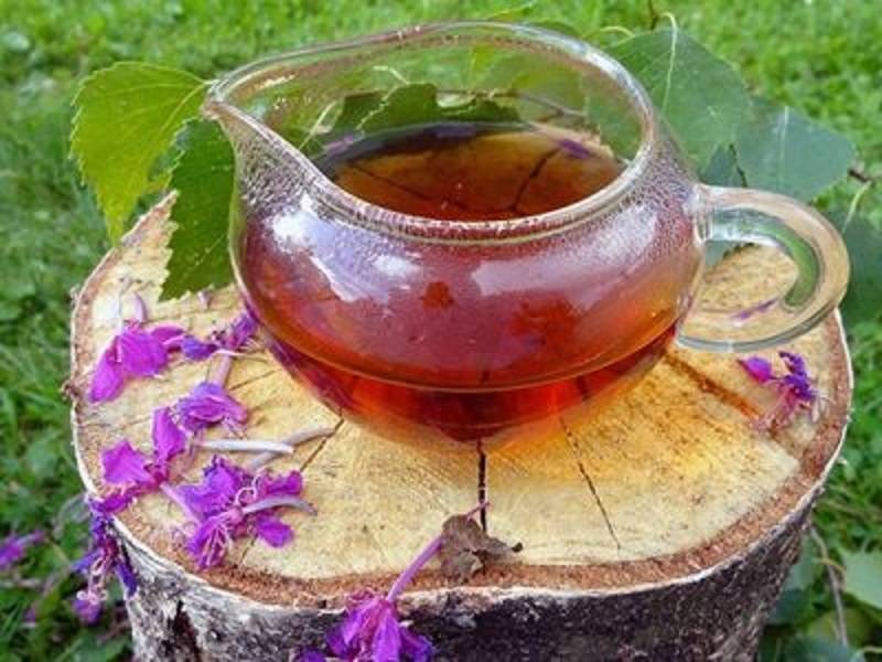 Чай из кипрея - польза и вред, как правильно сушить кипрей для чая?