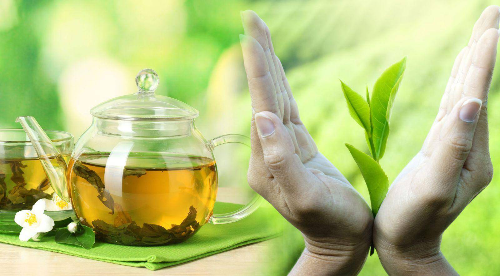 Польза и вред зеленого чая для мужчин: свойства, применение, влияние на организм