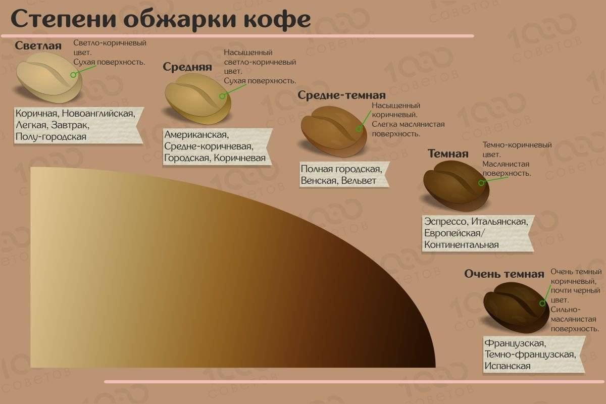 Ростер для кофе (обжарки зерен): виды и критерии выбора