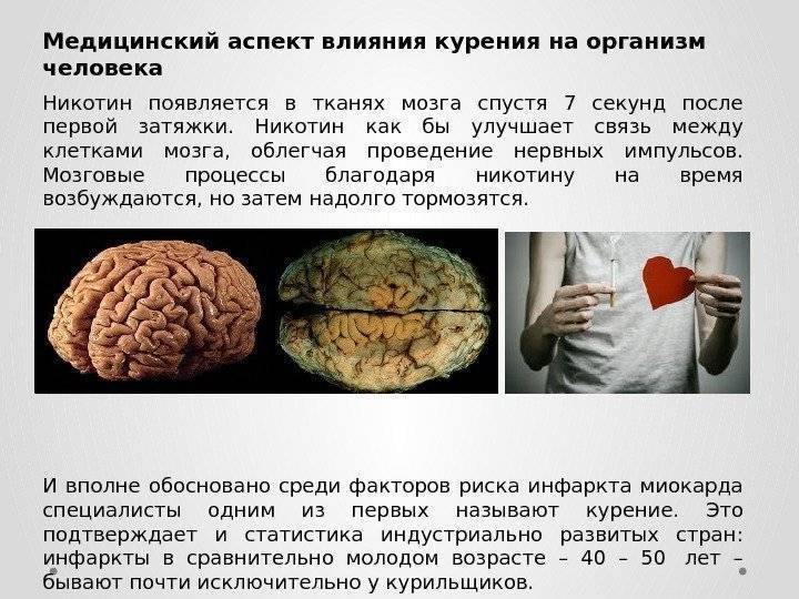 Продукты для мозга