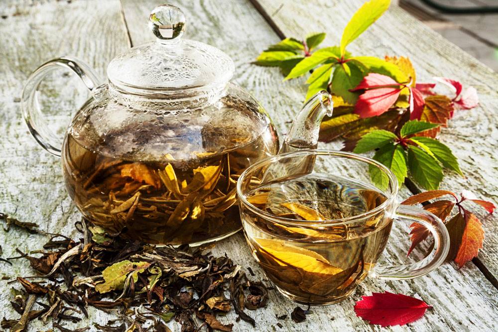 Как заваривать земляничный чай из листьев и ягод