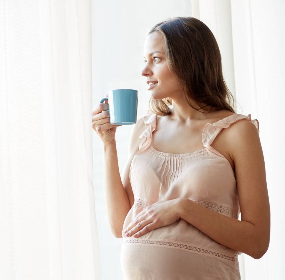 Как заварить мяту во время беременности и можно ли?
