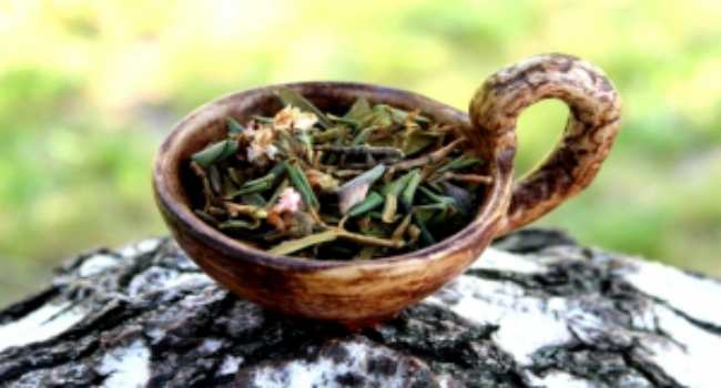 Чай саган дайля : полезный напиток тибетских монахов