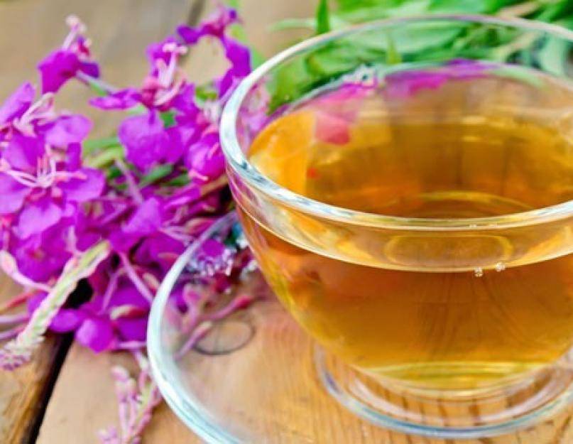 Чай из зверобоя: польза и вред для организма, показания к применению