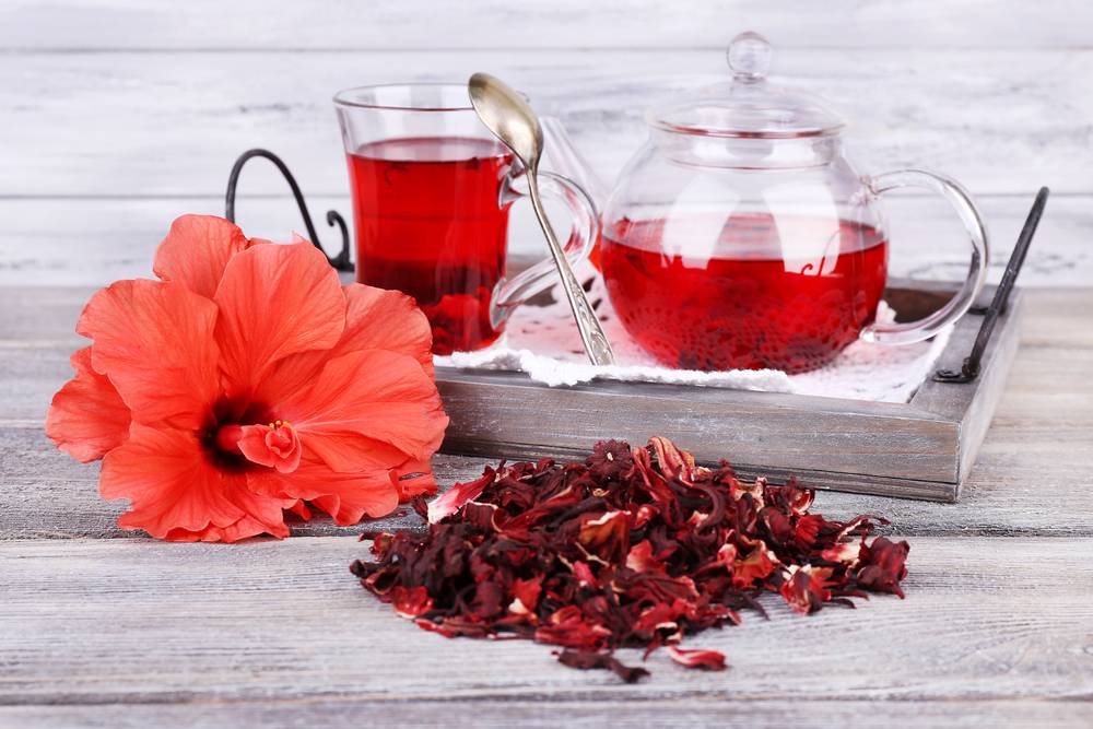 Чай c гибискусом: полезные свойства и противопоказания