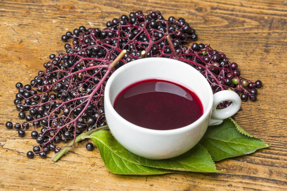 Чай с барбарисом: польза и вред, противопоказания и рецепты приготовления в домашних условиях