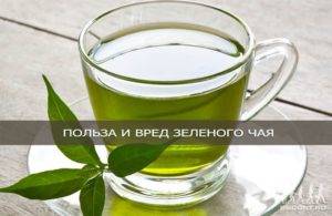 Сколько в день можно пить зеленый чай без вреда здоровью?