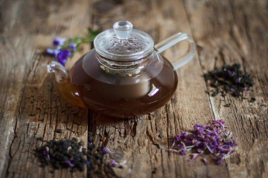 Чай кипрей: приготовление, ферментация, полезные свойства чая из кипрея