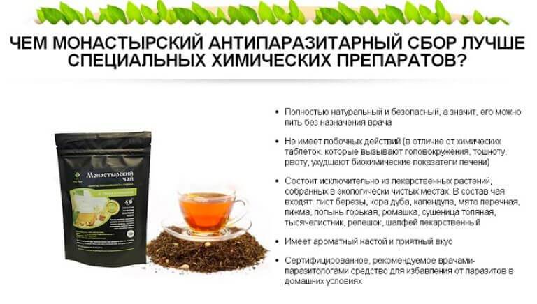 Монастырский чай (сбор) от паразитов и грибка: состав трав и применение