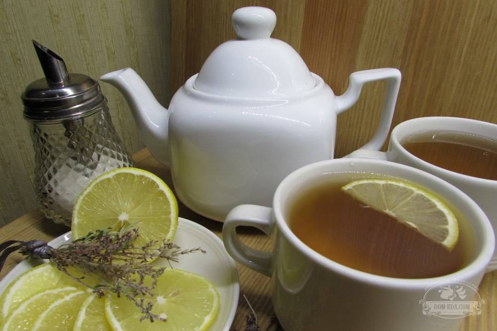 Чай с душицей: польза и вред, как заваривать