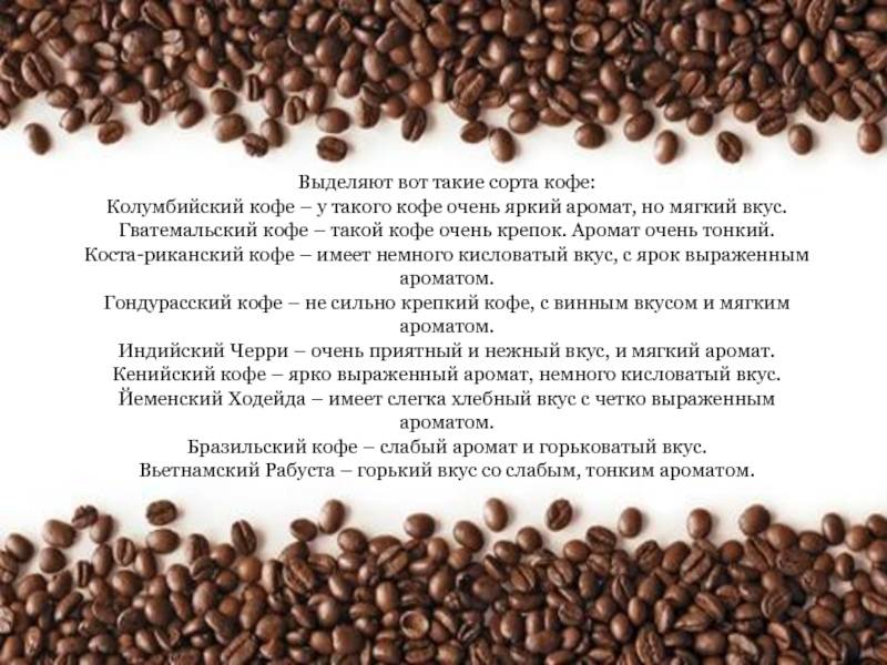 Сорта кофе. краткий путеводитель в увлекательном мире.