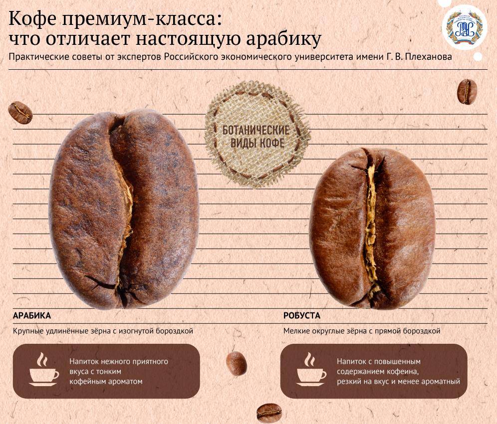 Кофейные волны - что такое, особенности, характеристики, развитие кофейной индустрии