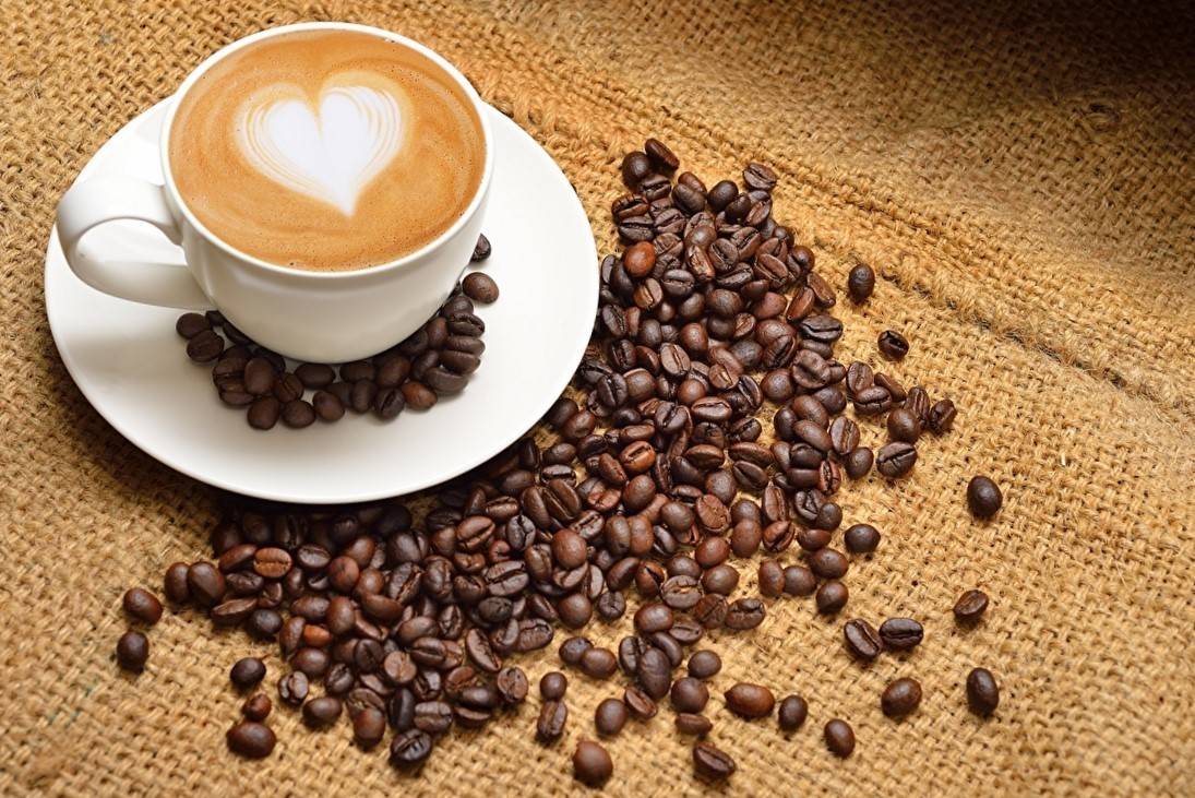 Кофе с молоком: вред или польза, все о полезных свойствах этого напитка