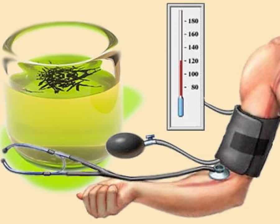 Зеленый чай повышает или понижает давление?