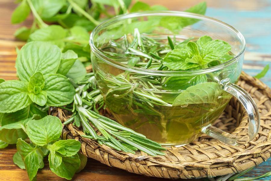 Зеленый чай с мелиссой: польза и вред