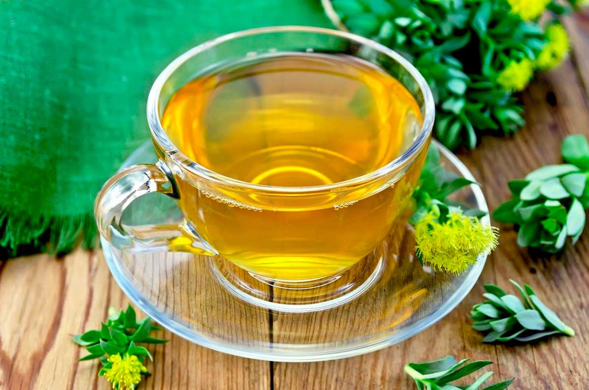 Чем полезны чай и варенье из хвои?