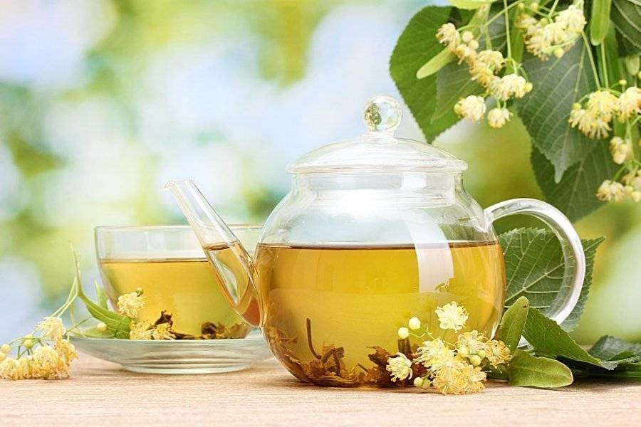 Чай из липы: польза и вред, меры предосторожности при употреблении липового чая