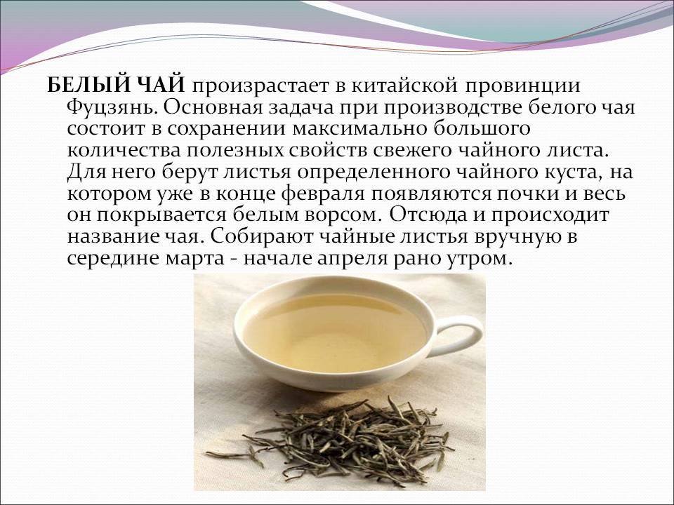 Русское чаепитие — история чая в россии