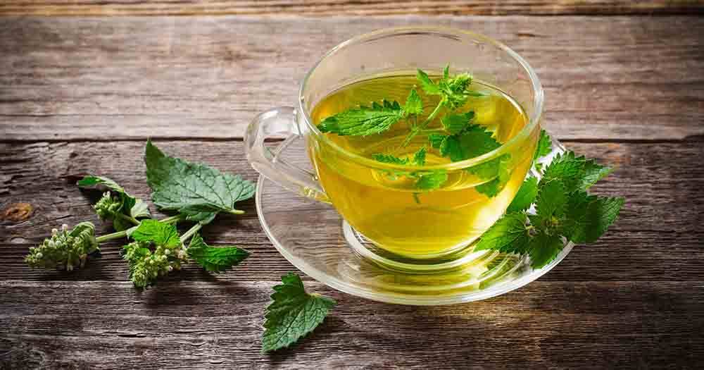 Чай с мятой: полезные свойства и противопоказания, как сделать