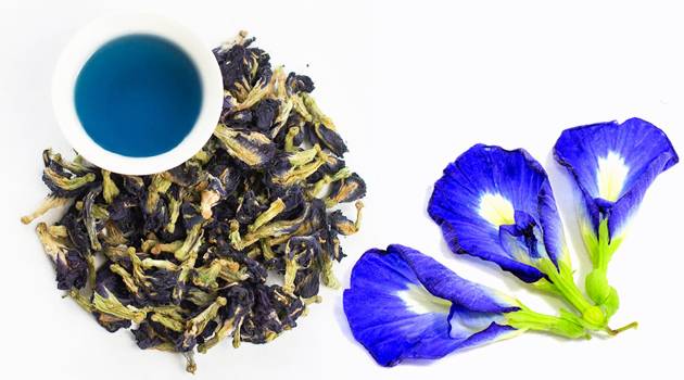 Пурпурный чай «чанг шу»: описание и особенности употребления
