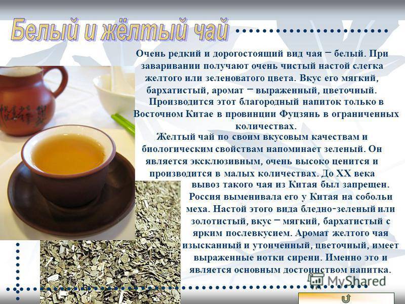 Белый чай: что это такое, польза и вред, чем он полезен, свойства