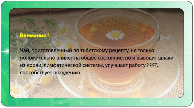 Очищающий чай для похудения, выведения шлаков и токсинов из организма: рецепты, применение