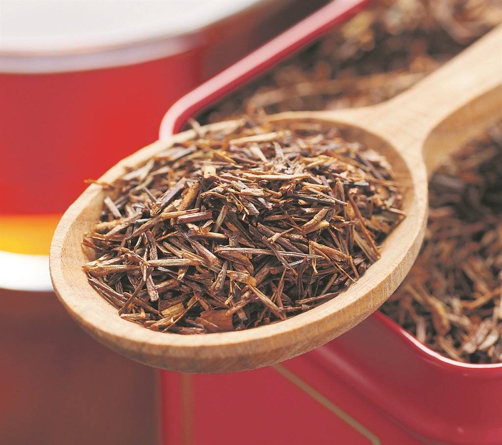 Чай ройбуш–полезные свойства и мои первые впечатления от покупки