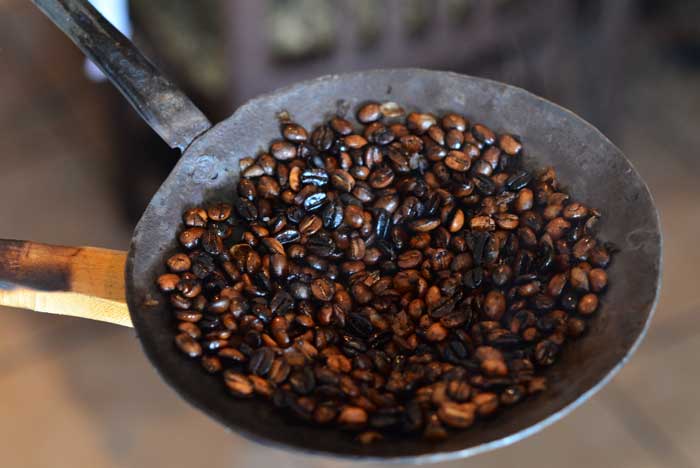 18 полезных растений-заменителей кофе