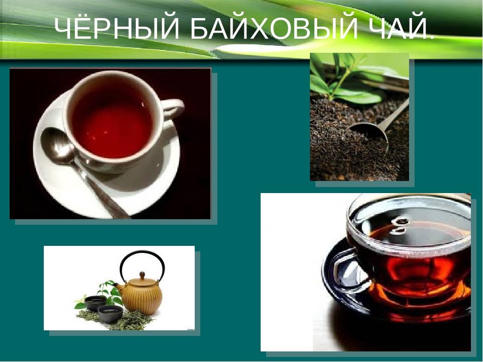 Габа чай - полезные свойства, советы заваривания