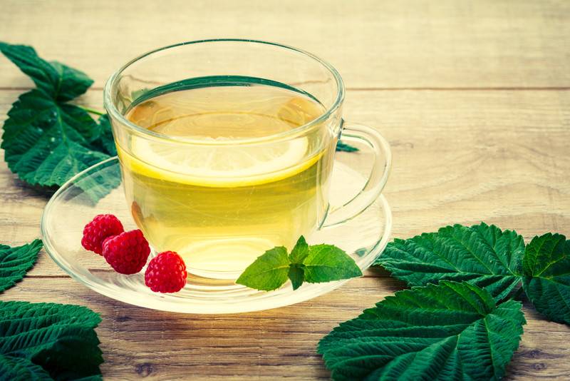 Чай из листьев малины: польза и вред, ферментация