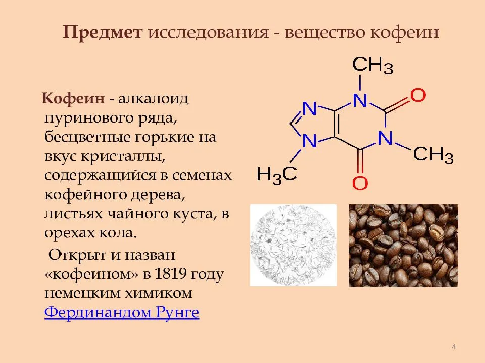 Теин и кофеин: в чем разница и где различия двух веществ?
