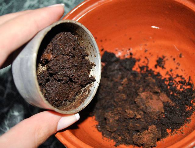 Кофейная гуща как удобрение: свойства, применение для растений, от вредителей, в компосте