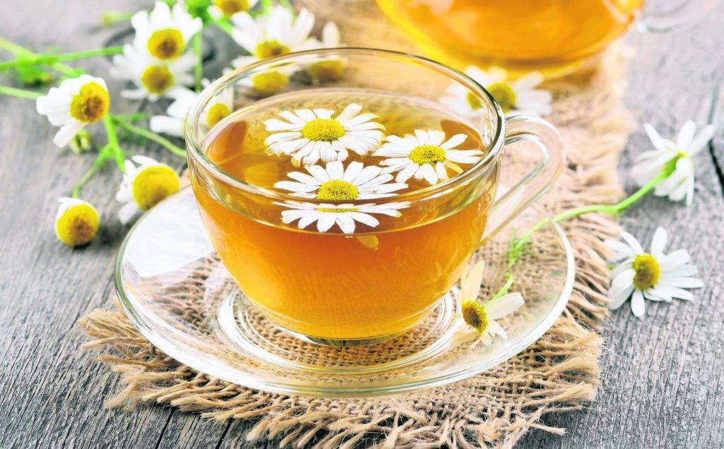 Чай с ромашкой: польза и вред, как заваривать ромашковый чай