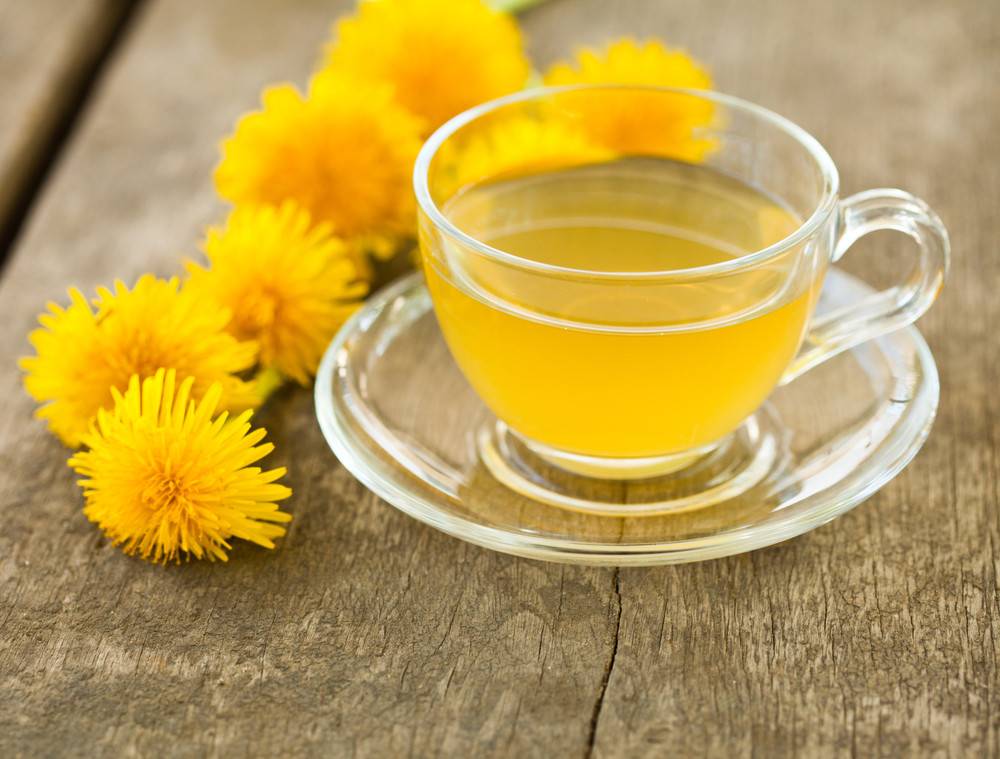 Чай из одуванчиков: польза и вред, рецепты приготовления