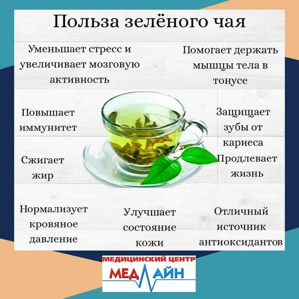 Как правильно и когда пить зеленый чай