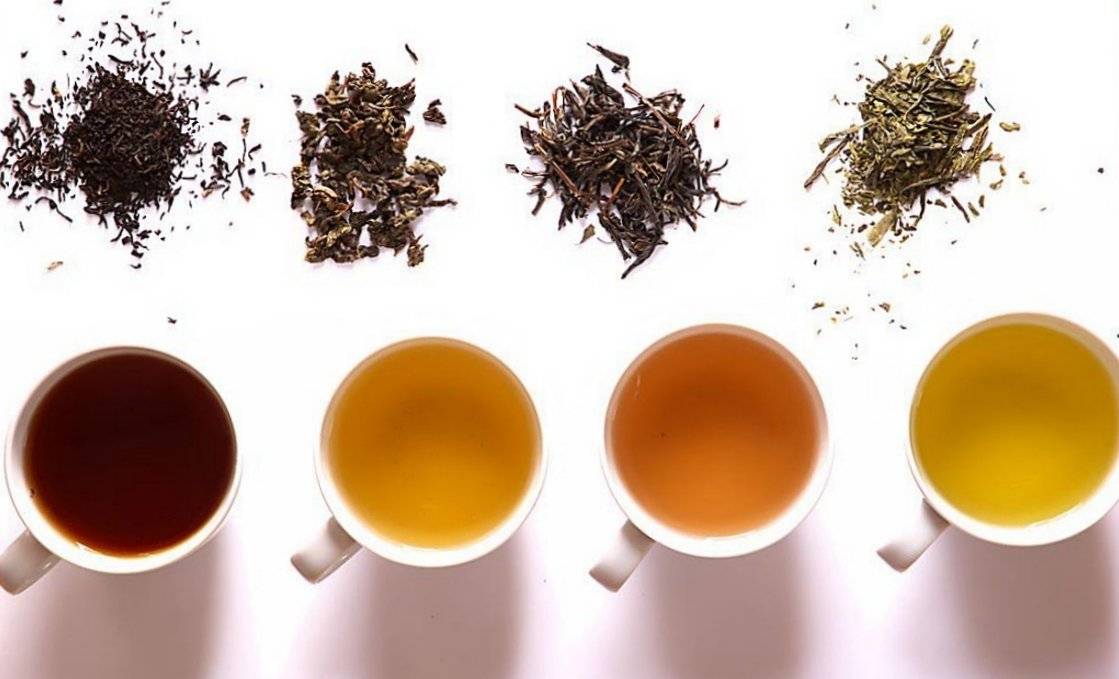 Белый чай: польза и вред, секреты заваривания