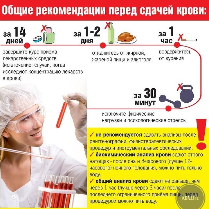 Подготовка к сдаче анализов крови - сибирский медицинский портал