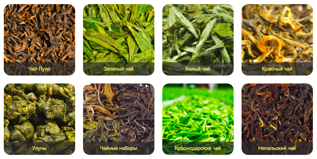 Зеленый чай: 6 лучших полезных качеств, 5 самых популярных сортов, показания и противопоказания