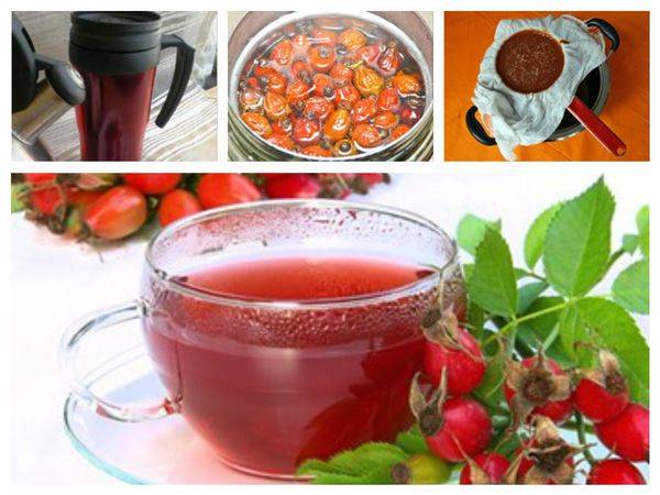 Чай с шиповником: польза и вред, противопоказания, как его правильно заваривать