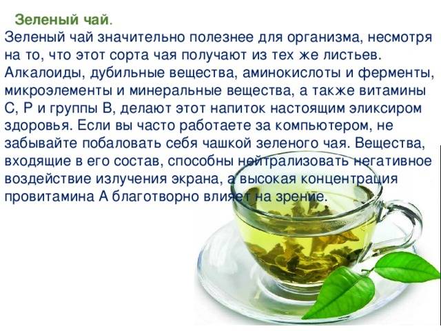 Зеленый чай повышает или понижает давление человека, а также как он влияет на весь организм