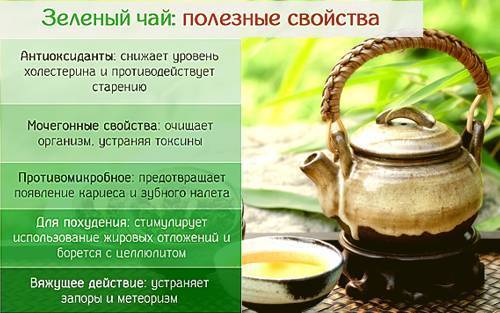 Зеленый чай повышает или понижает давление?