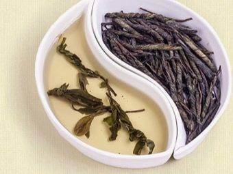 17 полезных свойств чая кудин ☕, вред, польза, исследования, отзывы
