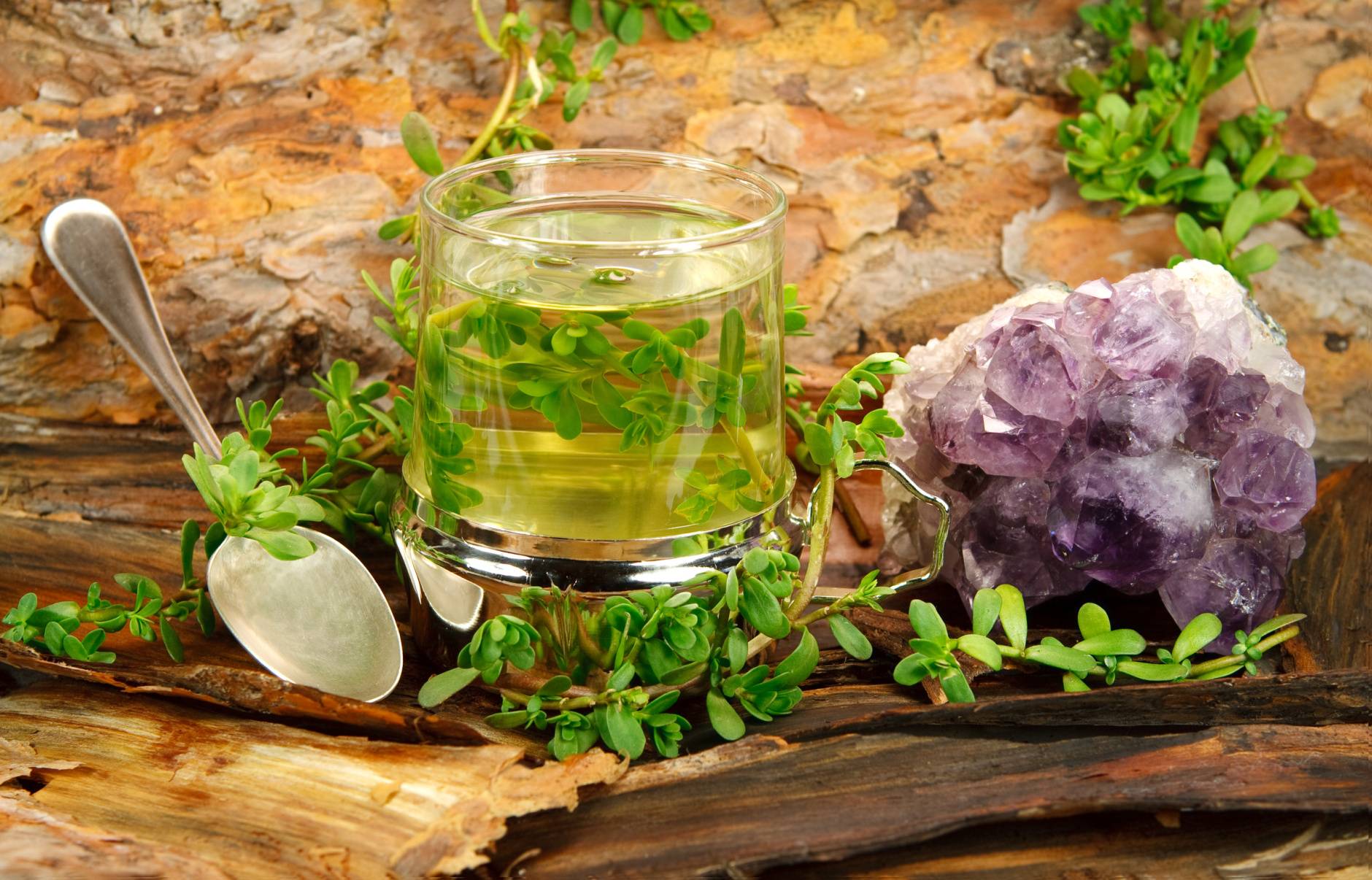 Чай масала: состав, рецепт, польза для организма