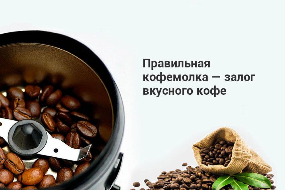 Разновидности кофемолок: как выбирать, основные параметры
