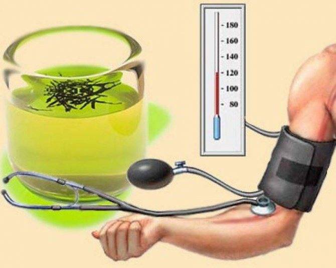 Зеленый чай при повышенном давлении: можно ли пить напиток при гипертонии