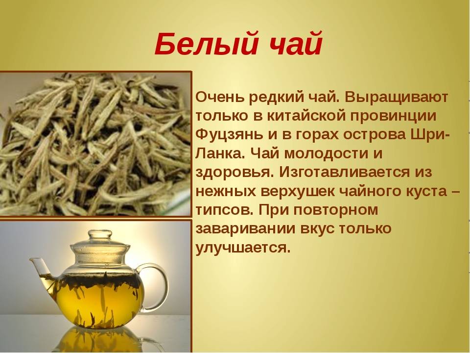 Белый чай: что это такое, польза и вред, полезные свойства китайского напитка и как его заваривать, отзывы