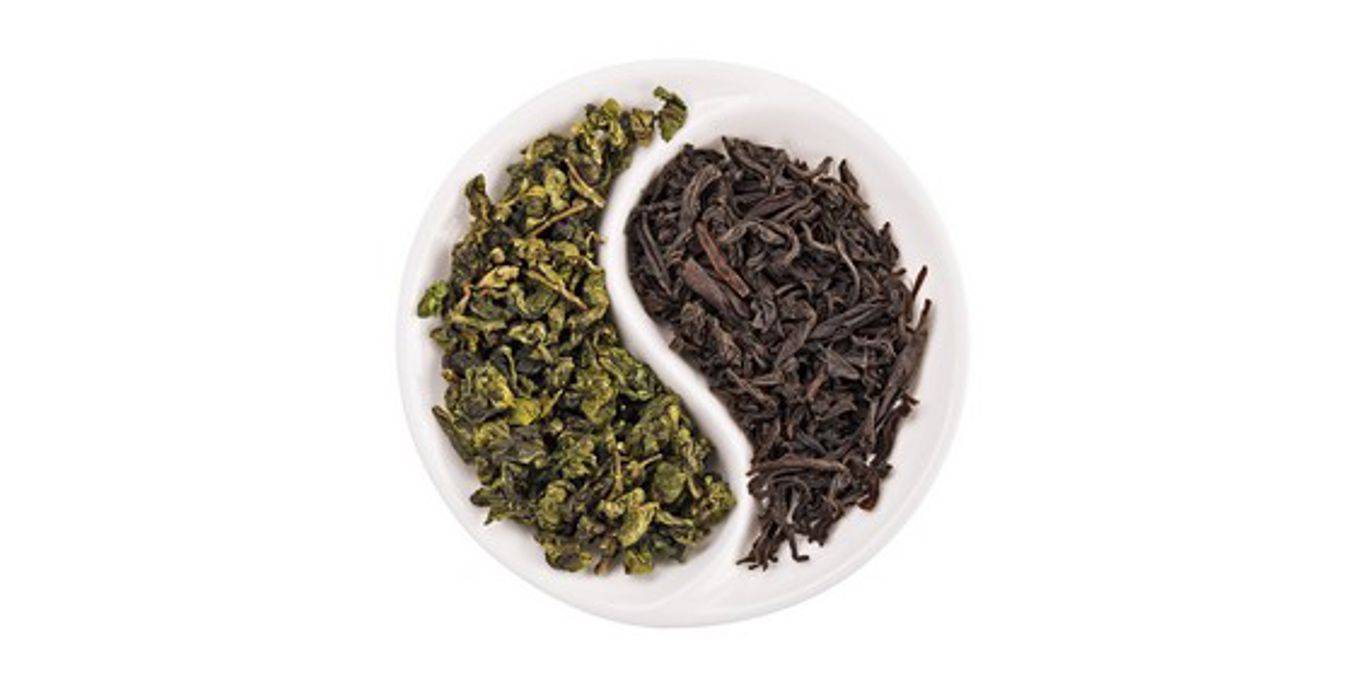 Как правильно выбрать лучший зеленый чай: рейтинг популярных сортов